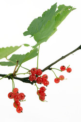 Similar image 227491