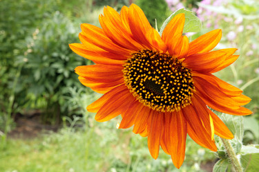 Similar image 227496