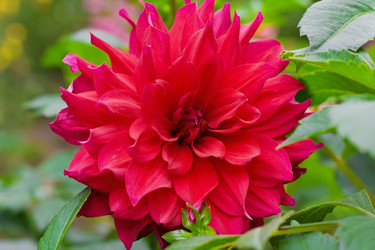 Similar image 227497