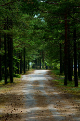 Similar image 227499