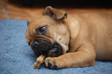 Similar image 227500