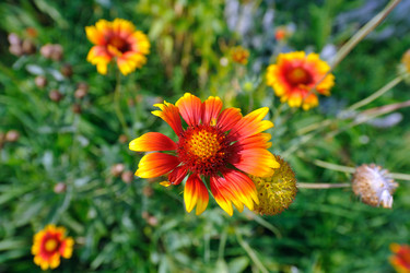 Similar image 227515