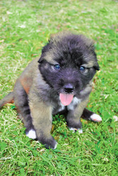 Similar image 227522