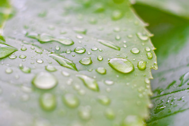 Similar image 227534