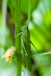 Similar image 227536