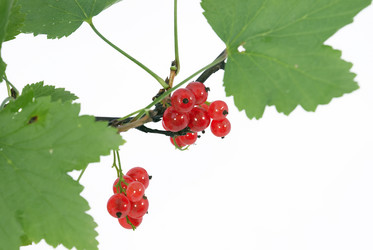 Similar image 227551