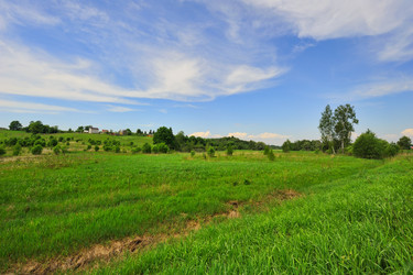 Similar image 227578