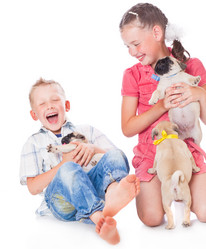 Similar image 227598