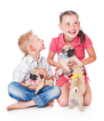 Similar image 227599