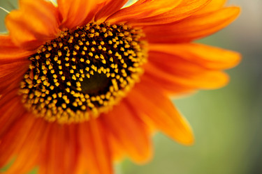 Similar image 227620