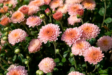 Similar image 227622