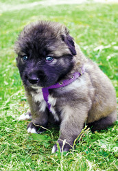 Similar image 227640