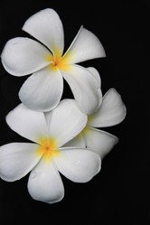 Similar image 227680