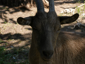 Similar image 227692