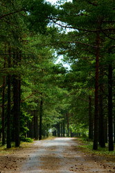 Similar image 227702