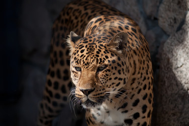 Similar image 227727