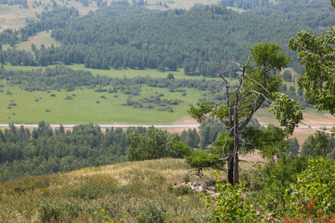 Similar image 227729