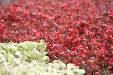 Similar image 227733