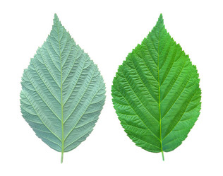 Similar image 227741