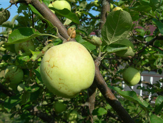 Similar image 227742