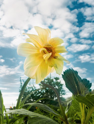 Similar image 227747