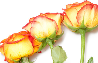 Similar image 227763