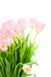 Similar image 227772