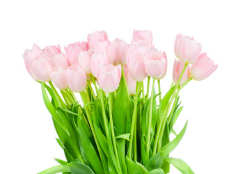 Similar image 227773