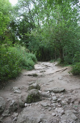 Similar image 227774