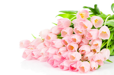 Similar image 227801