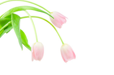 Similar image 227803