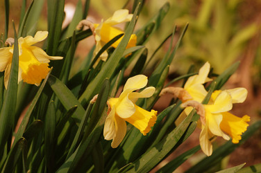 Similar image 227857