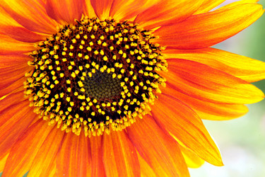 Similar image 227859