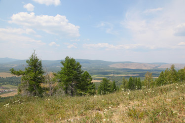 Similar image 227870