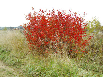 Similar image 227884