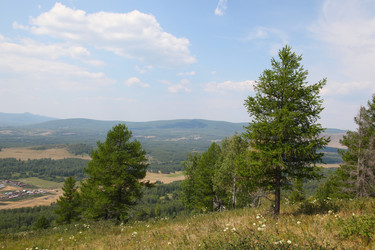 Similar image 227910