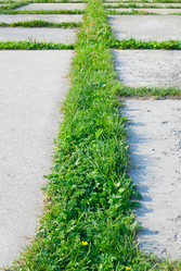 Similar image 227920