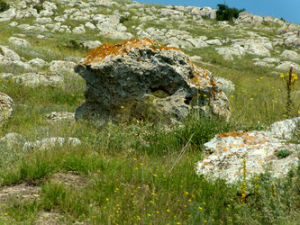 Similar image 227923