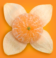 Similar image 227946