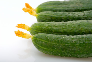 Similar image 227949