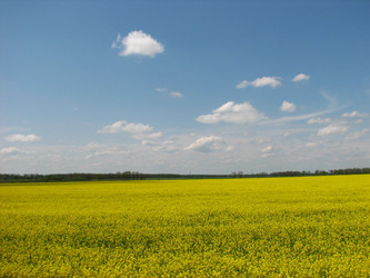 Similar image 227965