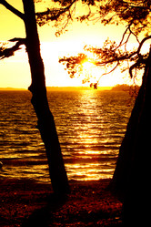 Similar image 227966