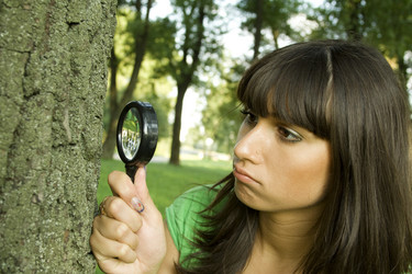 Similar image 227974