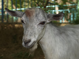 Similar image 228009