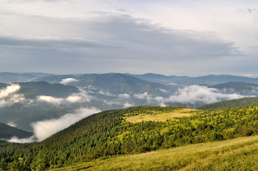 Similar image 228016