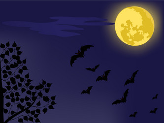 Similar image 228025