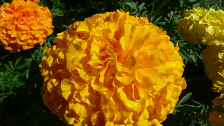 Similar image 228059