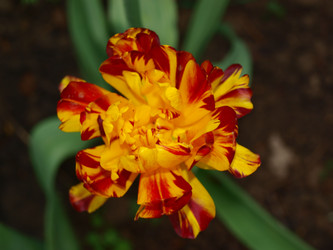 Similar image 228060