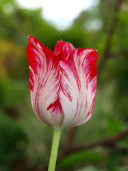 Similar image 228065