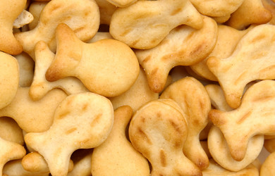 Similar image 228077